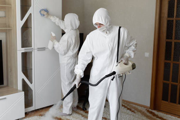 Mold Removal for HVAC Installations in Sharonville, OH