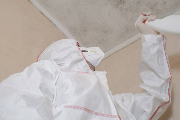 Mold Remediation for Rental Properties in Sharonville, OH